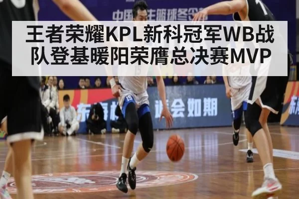 王者荣耀KPL新科冠军WB战队登基暖阳荣膺总决赛MVP